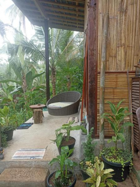 Jungle hous